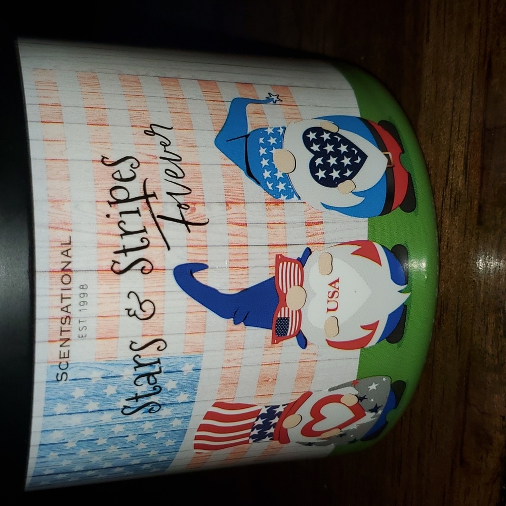 Natural soy blend 2 wick candle